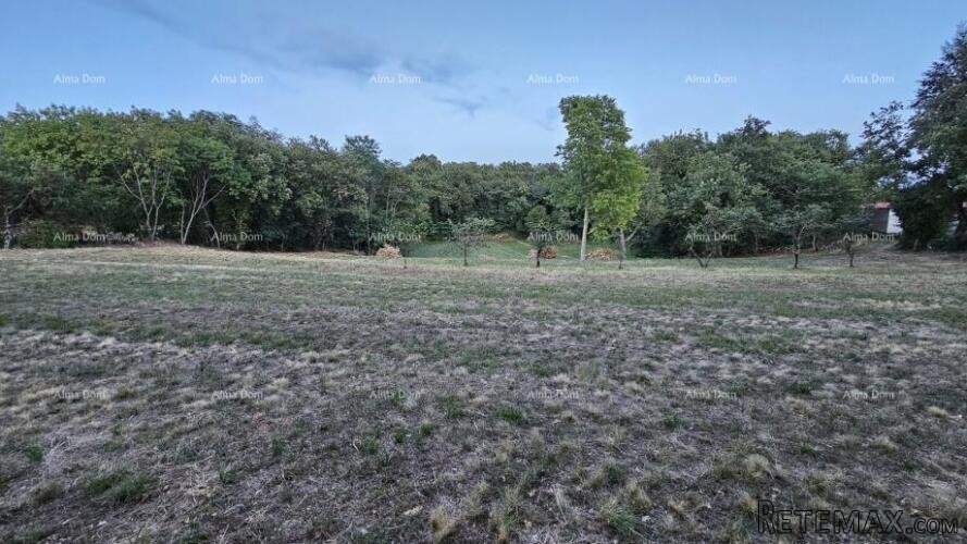 TINJAN - Građevinsko zemljište 3.623 m² - 4