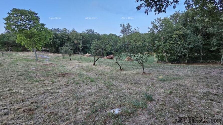 TINJAN - Građevinsko zemljište 3.623 m² - 5