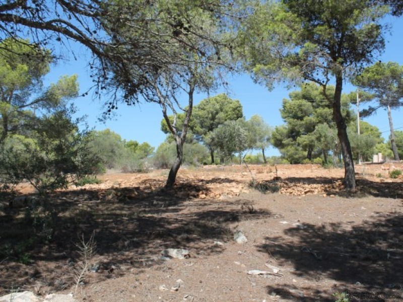Building Plots With Adjoining Large..