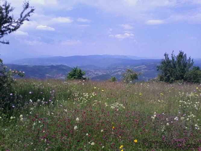 Stara planina placevi! - 9