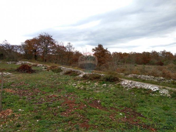 Istra, Vidulini-poljoprivredno zemljište od 17717m2 - 4