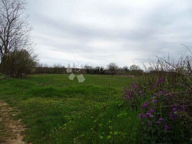 Žužići, Istra - teren 960m2 za villu, obiteljsku kuću