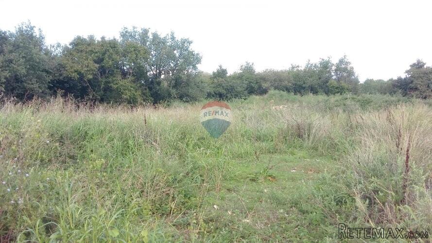 Istra, Buje, Kaštel - građevinsko zemljište stambene namjene - 2