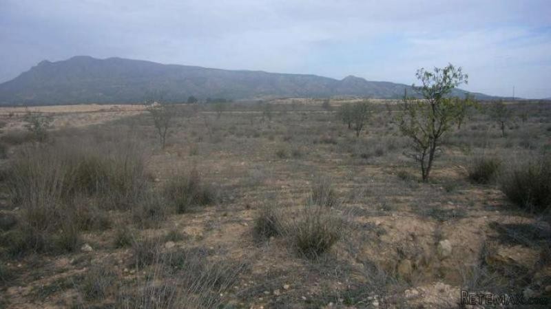 0 bedroom Land in Jumilla (Ref. PV3415)