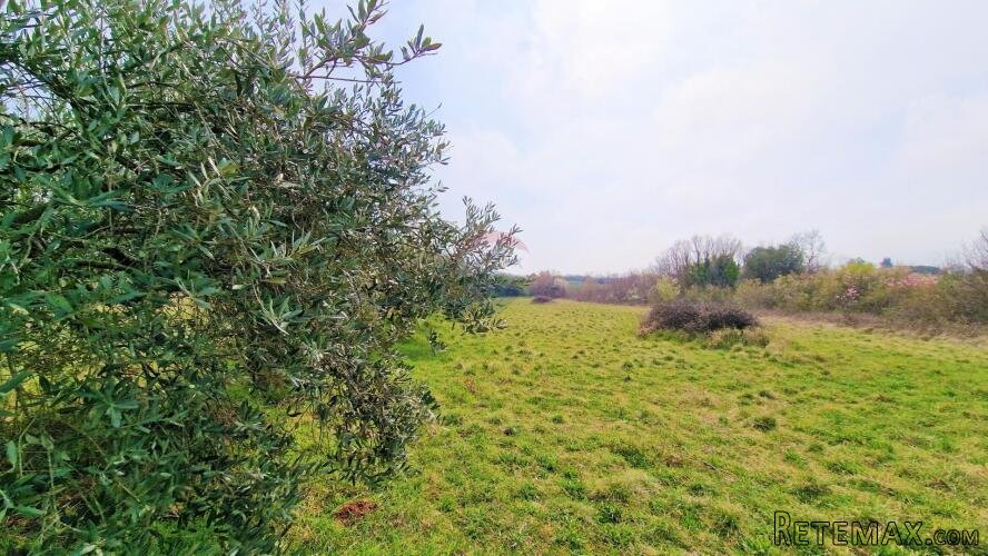Istra, Umag - Kombinacija građevinskog i poljoprivrednog zem - 3