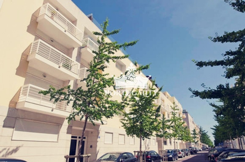 Charming Two-Bedroom Apartment In Expo