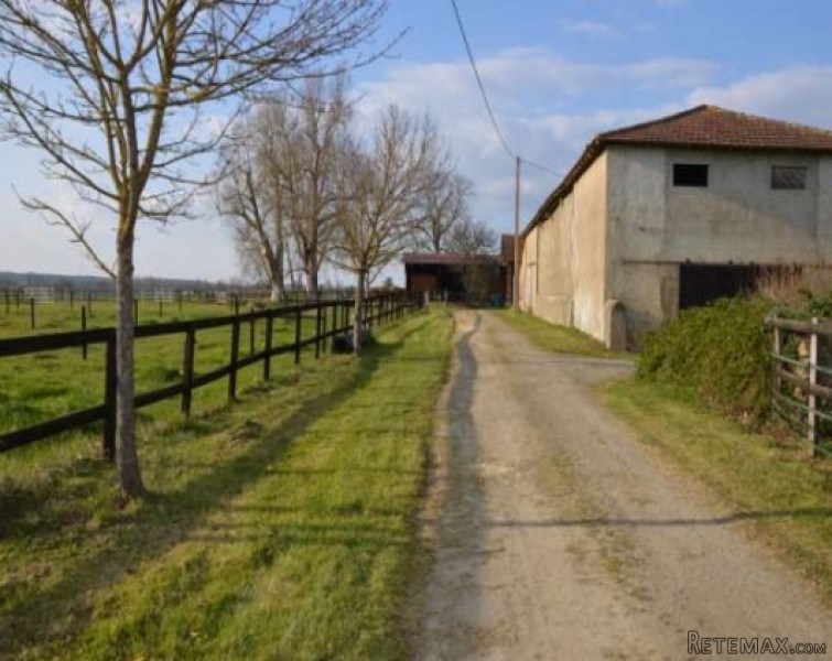 Large farmhouse, 2 cottages.. - 2