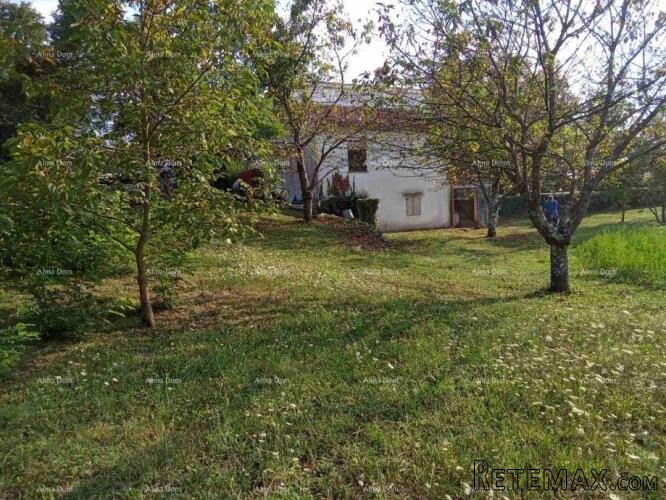 PAZIN - Prodaje se građevinsko zemljište od 2493 m² - 2