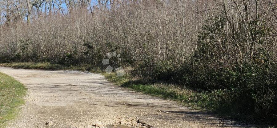 Poljoprivredno zemljište 2 km od mora - 3