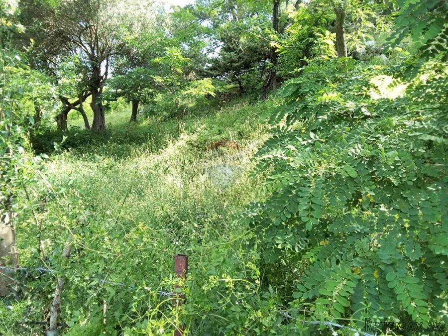 RAB, BANJOL - građevinsko zemljište 1116m2 - 3