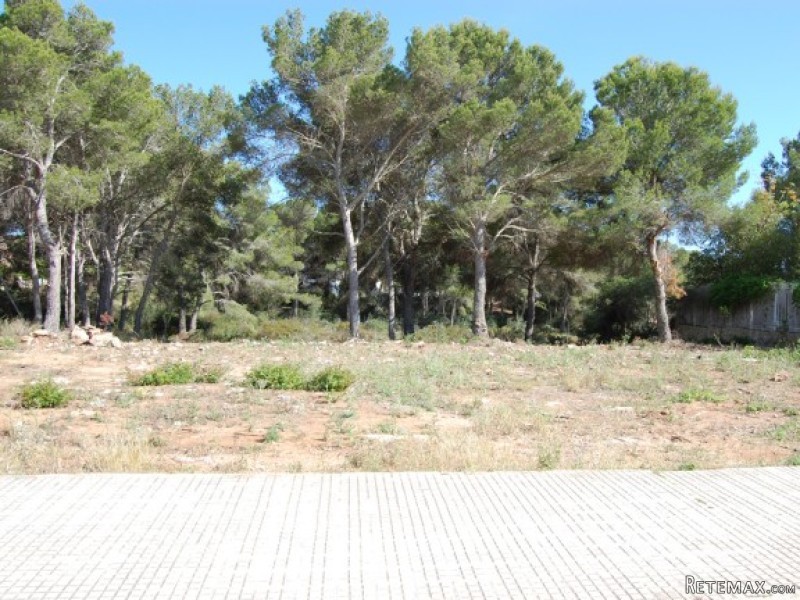 Two Frontline Plots In Puig Den Ros - 2
