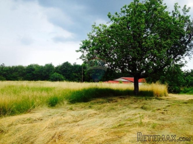 Građevinsko zemljište u Barbanu/ Okolica - 3