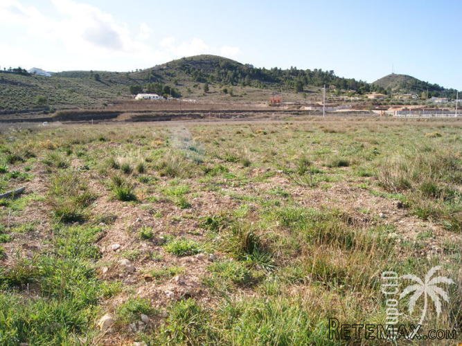 Very central plot one kilometer from Hondon de las Nieves... - 2