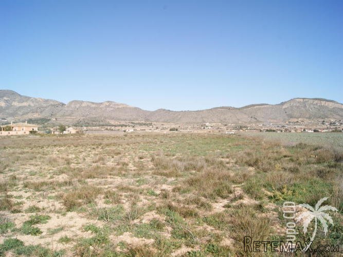 Very central plot one kilometer from Hondon de las Nieves... - 3