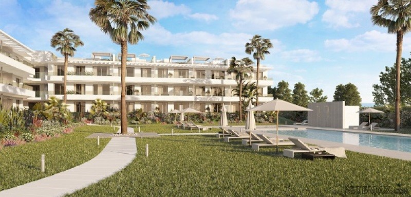 4 bedroom apartments