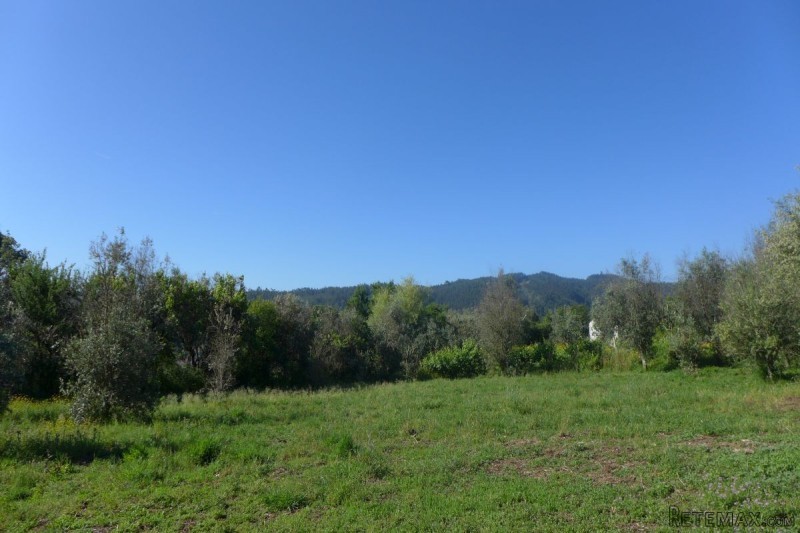 Land plot With Viability To Built In..