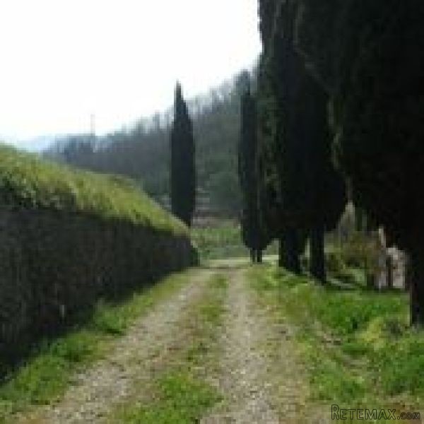 Commercial/business - For Sale - - EUR..