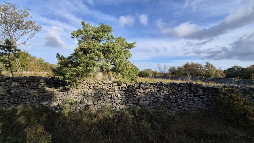 Pašnjak ograđen suhozidom, površine 1705 m2