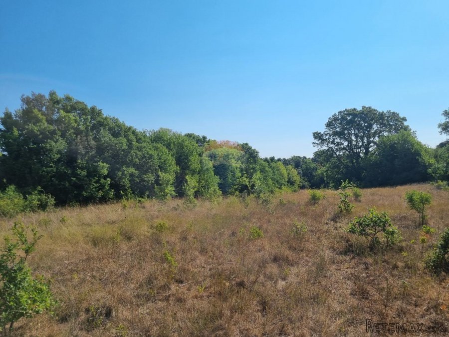 Šišan, poljoprivredno zemljište 6,316 m2 - 2