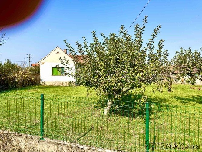 Seosko domacinstvo 285ari Grncara-Loznica - 2