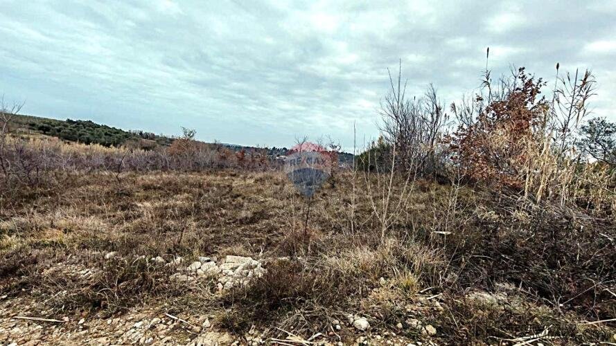 Istra, Buje okolica, poljoprivredno zemljište