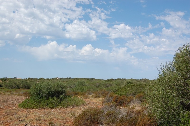 Plot near Cap Salines with plans and.. - 2