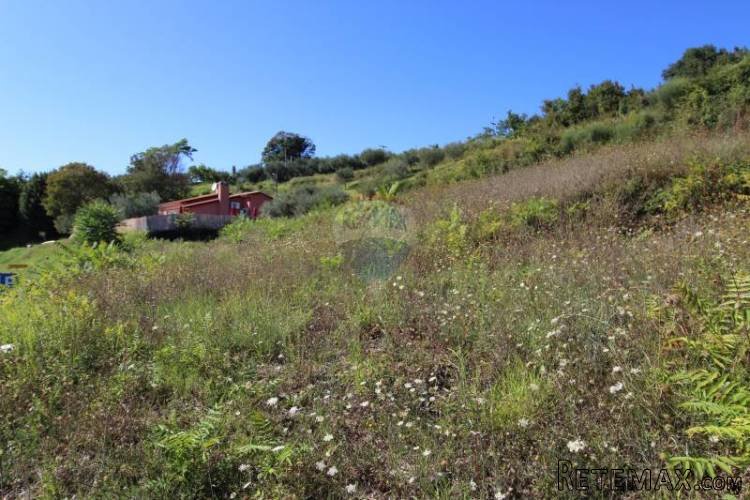 BUJE, OKOLICA, GRAĐEVINSKO ZEMLJIŠTE JEDINSTVENOG POGLEDA - 4