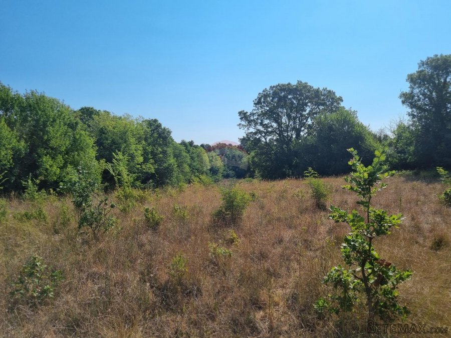 Šišan, poljoprivredno zemljište 6,316 m2 - 4