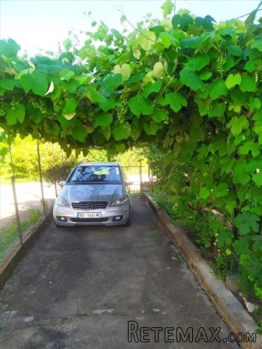 Kuca u Surdulici,180m2,6ari placa - 14