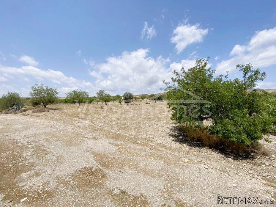 NEW & EXCLUSIVE LISTING TO VOSS HOMES - A spacious.. - 14