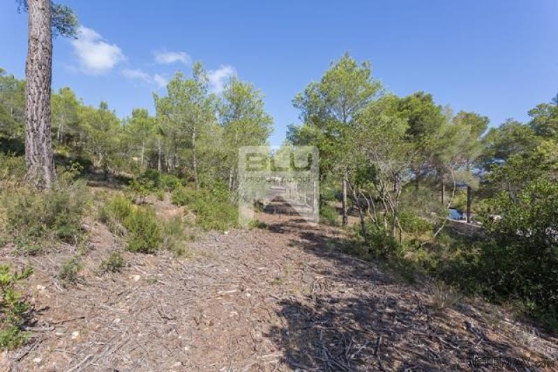 Plot in Javea
