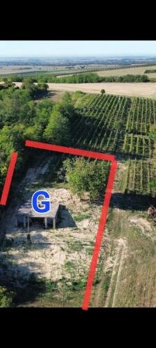 DRAŽ - ZGRADA ZA EKSKLUZIVNU VINARIJU S KUŠAONICOM I BAZENOM - 2