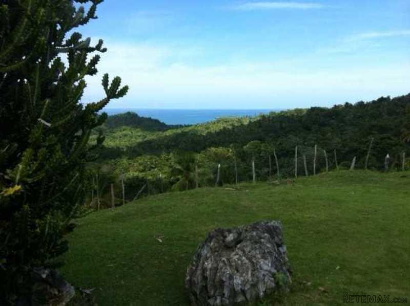 Ocean Front Lots In Samana For Sale - 2