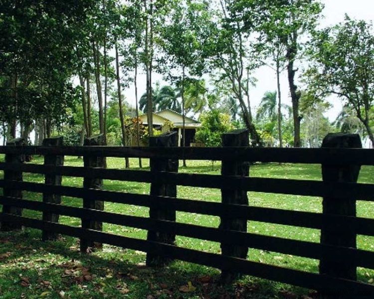 Beautiful Farm In Abreu Near Cabrera - 2