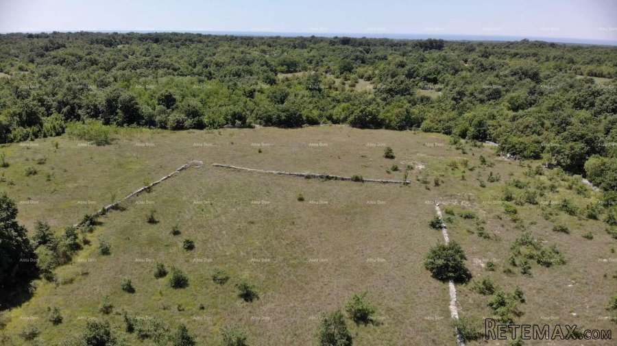Građevinsko zemljište Svetvinčenat - 3
