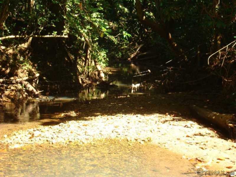 Cattle Farm Near Rio San Juan - Ideal.. - 2