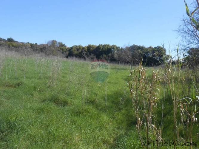 Istra, okolica Pule, Valmade - 2