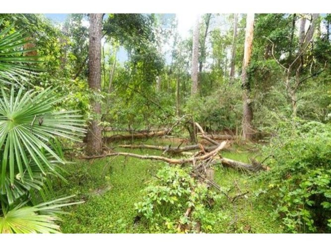 Land For Sale: Home - 2