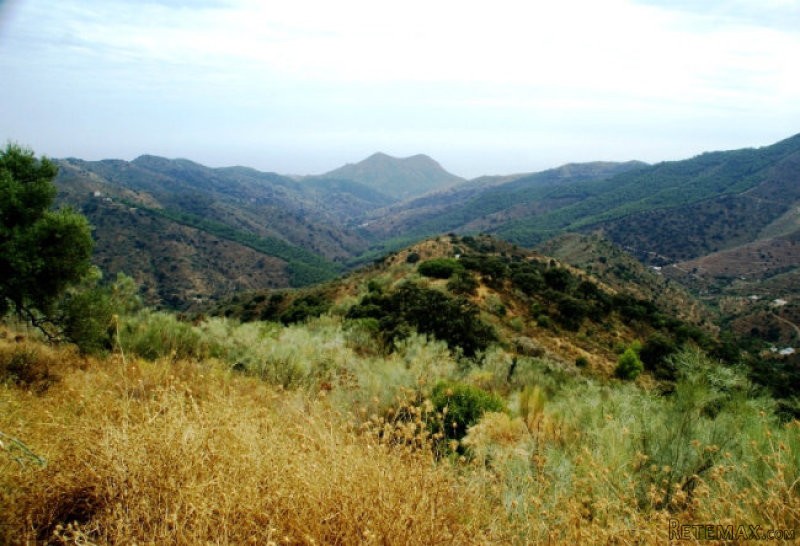 Country Houses for Sale in Malaga..