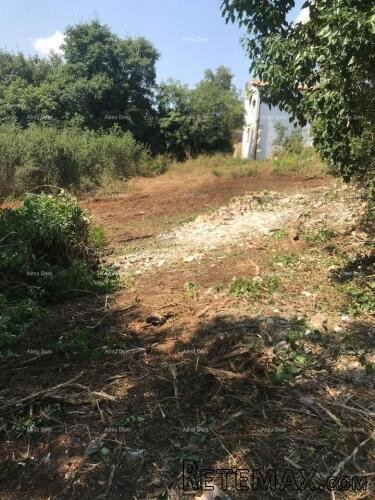 Građevinsko zemljište 1.137 m² – Filipana - 4