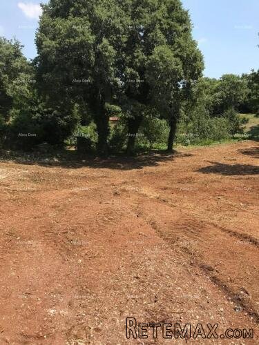 Građevinsko zemljište 1.137 m² – Filipana - 5