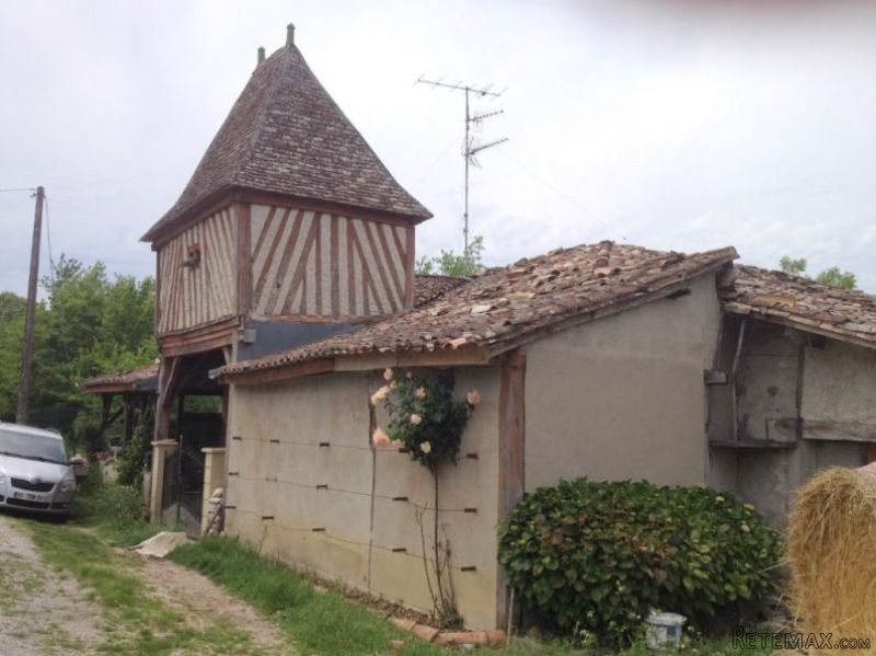 Superb Character House