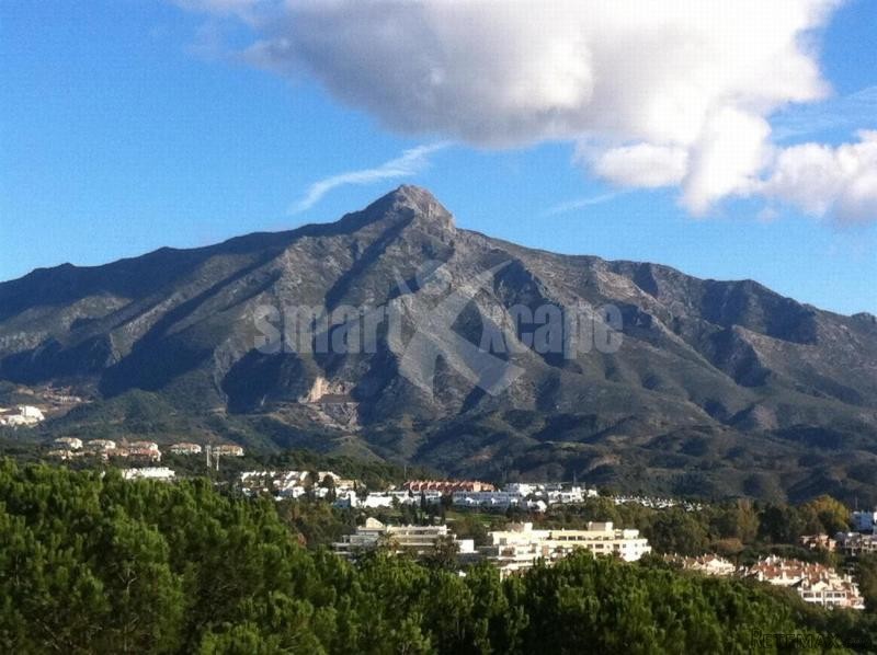 Apartment For Sale In Nueva Andalucia..