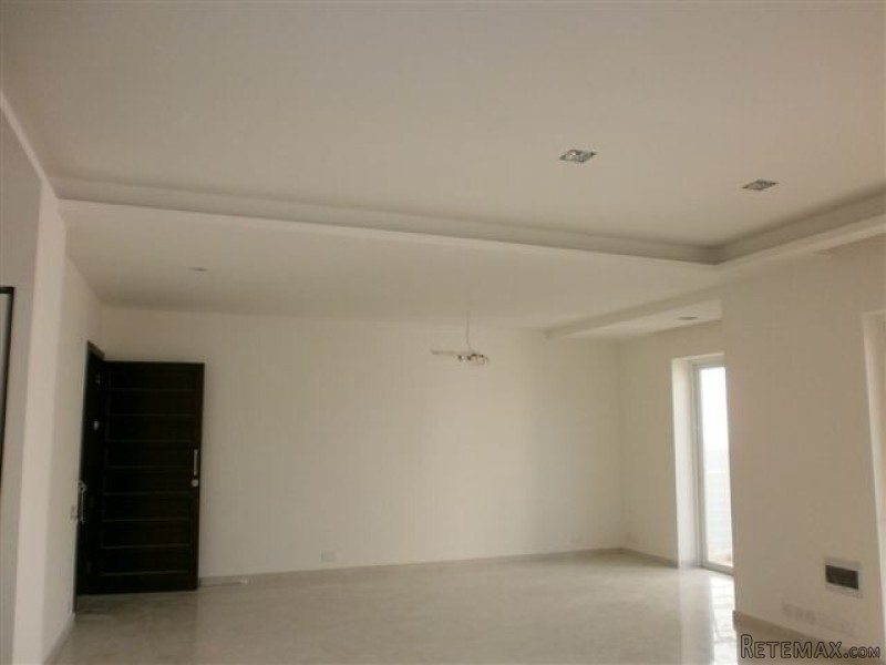 Flat, Luxurious Finish - 2