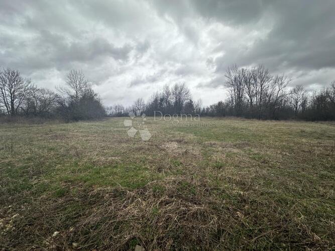 LIPE, GOSPIĆ 5000m2 TOP LOKACIJA !! - 3