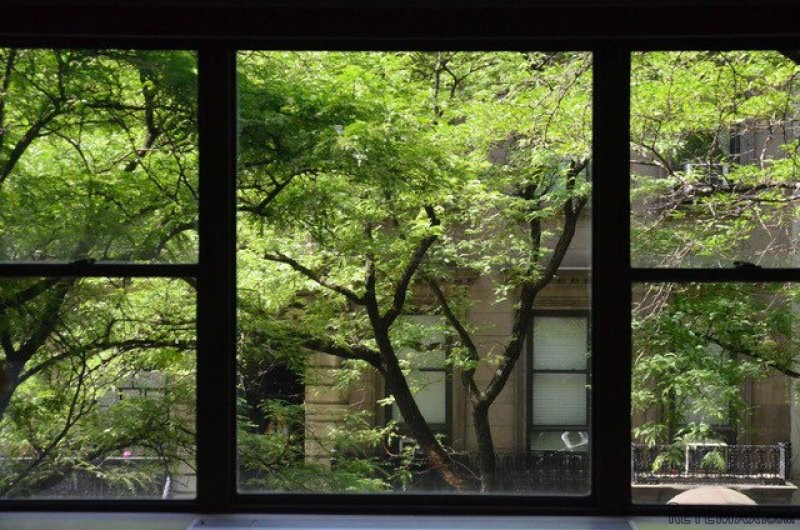 1 Bedroom - Condo - New York State -.. - 2