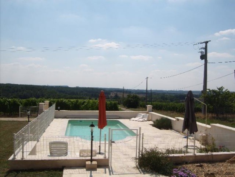 Fabulous Vineyard Of 33 Hectares - 2