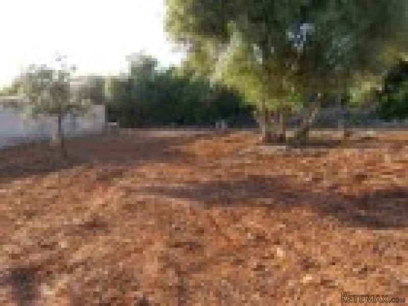 Building plot north of Portimao - 2