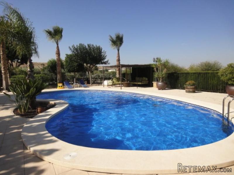 Modern villa with pool in Aspe (Ref... - 2