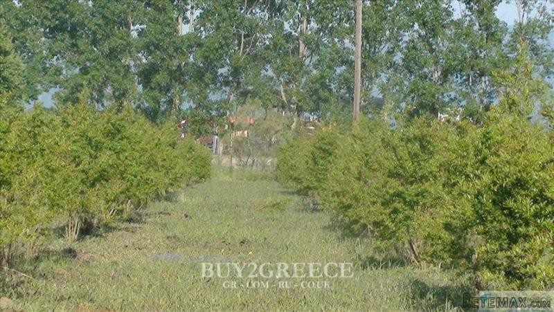 Β721 - FOR SALE LAND OF 10 - 2